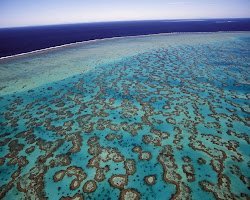 Grande Barreira de Corais é o maior sistema de recifes de coral do mundo