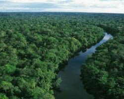 Floresta amazônica destinos exóticos